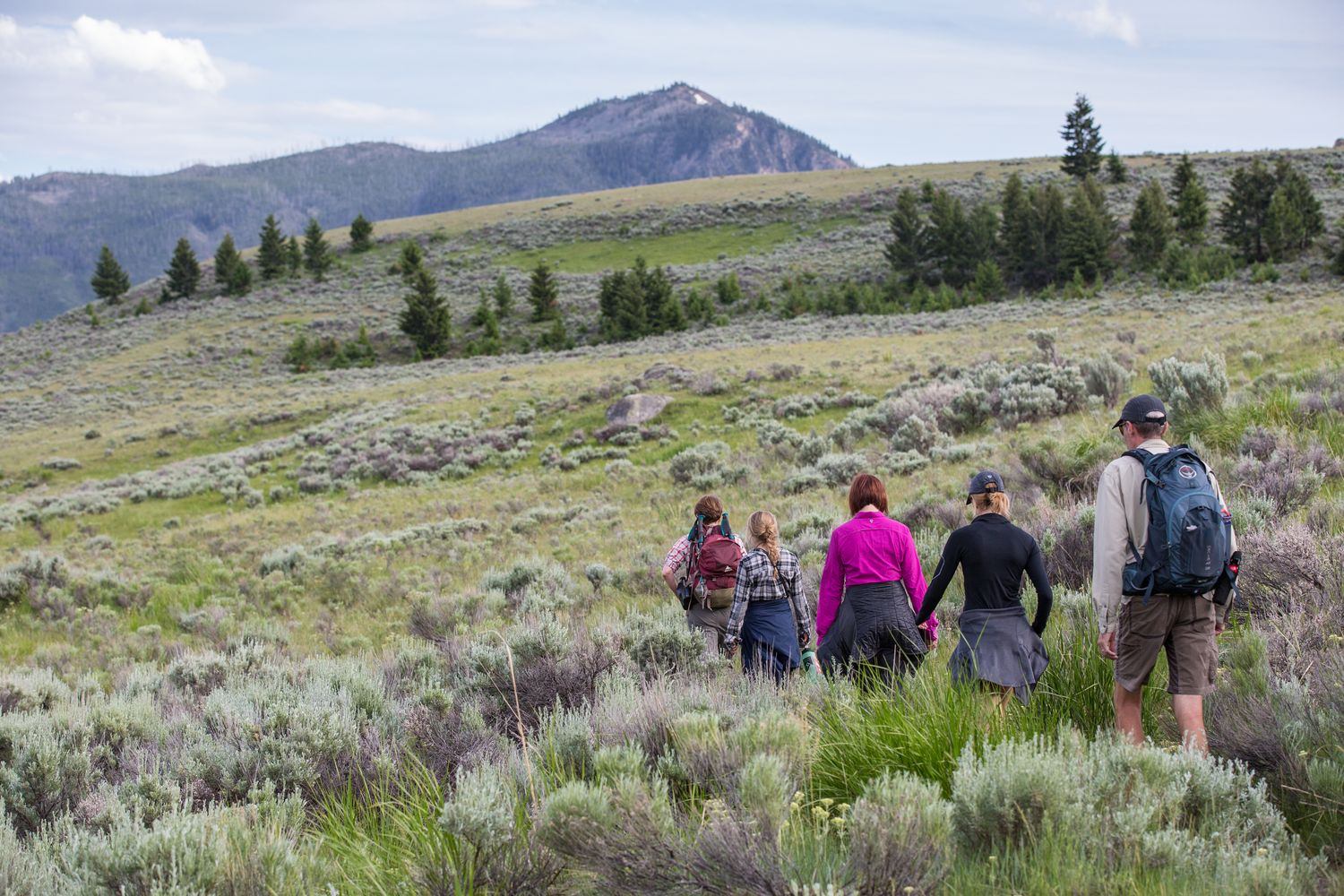 Yellowstone National Park туристы